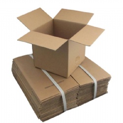 Corrugated carton box